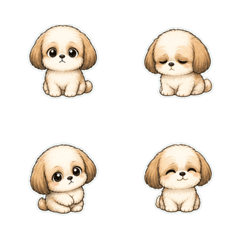 西施犬無字反應1◇