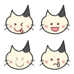 Peko's cat48