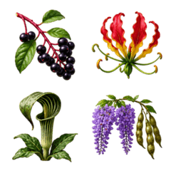 日本毒植物 3D