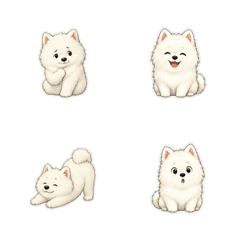 薩摩耶犬無字反應1※