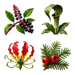 日本有毒植物 3D