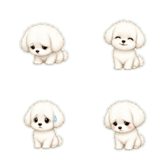 瑪爾濟斯犬無字反應1★