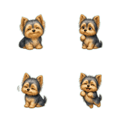 約克夏犬無字反應1♡