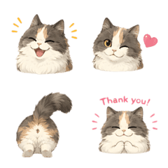 Mochi Fluffy Cat Emoji