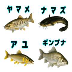 Fish emoji ! Fish mania1 (with name)