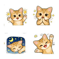 cute cat baby Daily Emoji