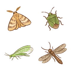 Insects etc