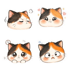Mellow Meow