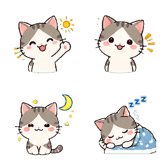 CAT - Daily Emoji!!