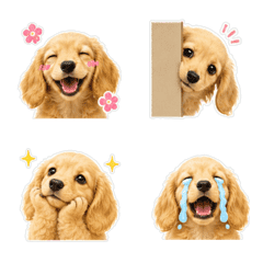Dachshunds Daily Chat Emojis3