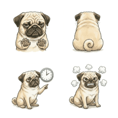 巴哥犬小摩卡：漫畫風表情貼 眼神施壓篇