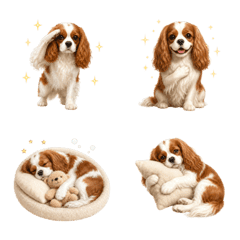 All Year Cavalier Dog Emoji