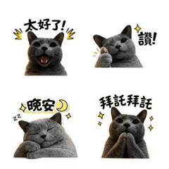 無敵日常用語