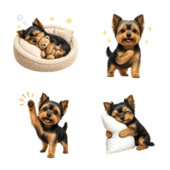 Year-Round Yorkshire Terrier Emoji