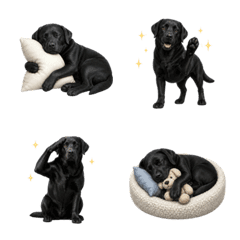 All-Year Black Labrador Emoji
