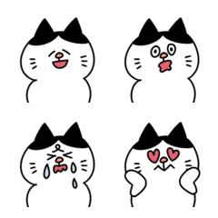 cat!!23