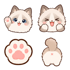 Ragdoll Cute