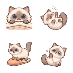 Naughty Fairy Cat B1