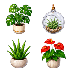 室內植物