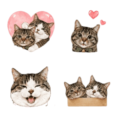hamachibi_02