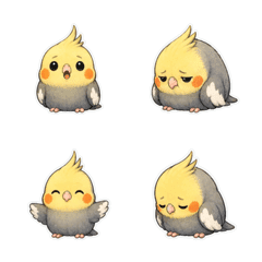玄鳳鸚鵡沮喪無字1A