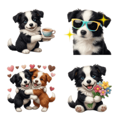 Fabric Daily Fluffy Border Collie