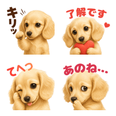 Dachshund's 100 Faces Emoji