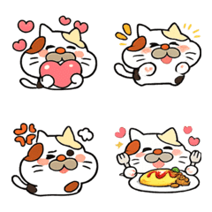 猫たま〜三毛さん〜