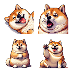感情を伝える太っちょ柴犬
