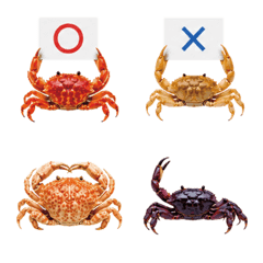 Crab Club