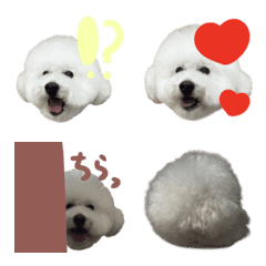 pjadmtpgadmujad