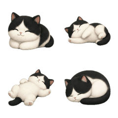 賓士貓圓心情1A