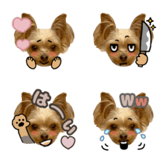 Ricca_emoji