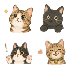 meow cats