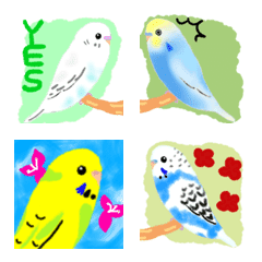 全部セキセイインコ
