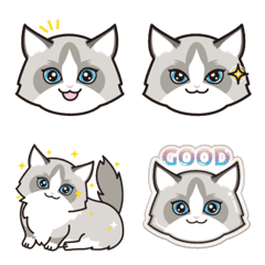 Playful Ragdoll Cat Emoji