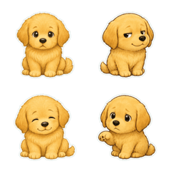 黃金獵犬沮喪無字1A