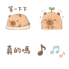氧氣小水豚