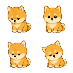 柴犬發呆臉1A