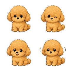 玩具貴賓犬發呆臉1A