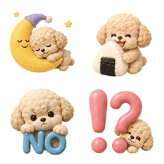 Every Day Fluffy Poodle