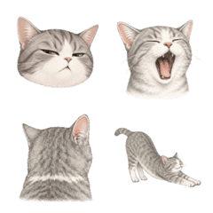 Tsundere Cat Emojis