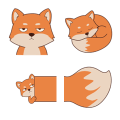 BOBBY - Derp Tibetan Fox