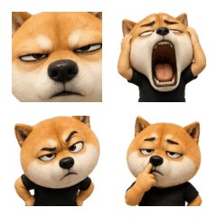 供三小柴表情貼