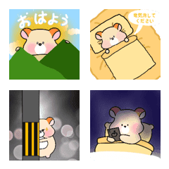 Hamuchan`s Life
