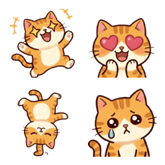 Drama Orange Cat