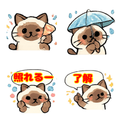 猫たま〜シャムちん〜