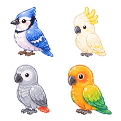 Fluffy Joy Pastel : Birds