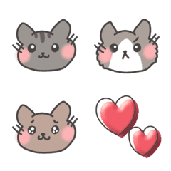 Cat Pretty 01
