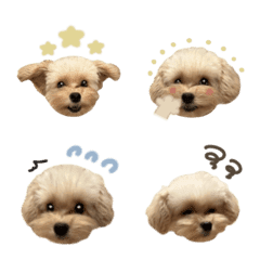 rinrin.emoji